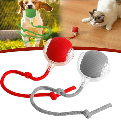 SmartPaw Ball™ - Bola inteligente con sensor de movimiento + Toalla húmeda de regalo